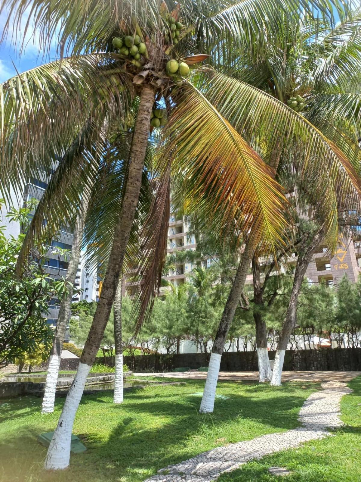 Golden Beach Flat Na Praia Piedade Jaboatao dos Guararapes Luaran gambar